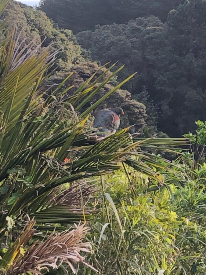 Muriwai Muriwai (Auckland)